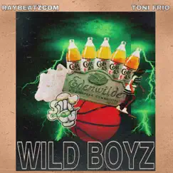 Wild Boyz by Raybeatzcom & Toni Frio album reviews, ratings, credits