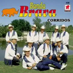 Corridos by Banda Brava album reviews, ratings, credits