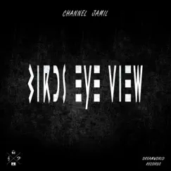 Birds Eye View - Single by Channel Jamil album reviews, ratings, credits