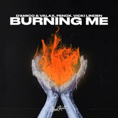 Burning Me - Single by D'Amico & Valax, Fenox & Vicki Linden album reviews, ratings, credits