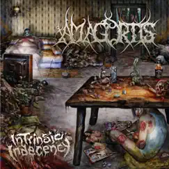 Intrinsic Indecency by Amagortis album reviews, ratings, credits