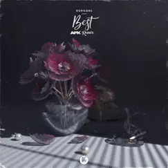 Best (AFK Remix) - Single by Borgore album reviews, ratings, credits