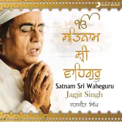 Satnam Sri Wahe Guru by Various Artists album reviews, ratings, credits