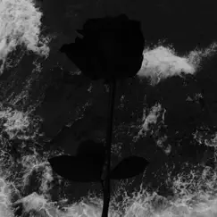 Black Rose - Single by Fix album reviews, ratings, credits