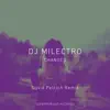 Changes (Silvio Petrich Remix) - Single album lyrics, reviews, download