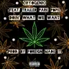 Doin' What We Want (feat. Trailer Park Pope) - Single album lyrics, reviews, download