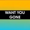 Want You Gone - Single album lyrics, reviews, download