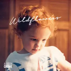 Wildflowers - Single by Allison Crowe album reviews, ratings, credits