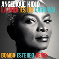 La Vida Es un Carnaval (Bomba Estereo Remix) Song Lyrics
