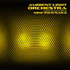 Ambient Translations of Nine Inch Nails by Ambient Light Orchestra album reviews, ratings, credits