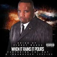 When It Rains It Pours (feat. Fat Cat & Indangered Species) - Single by Brikk of Pinney Woods album reviews, ratings, credits