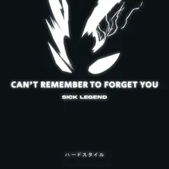 Can't Remember To Forget You Hardstyle Sped Up - Single by SICK LEGEND album reviews, ratings, credits