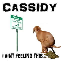 I Aint Feelin This Shit - Single by Cassidy album reviews, ratings, credits