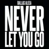 Never Let You Go - Single album lyrics, reviews, download
