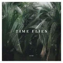 Time Flies - Single by Gabriel Fauré album reviews, ratings, credits