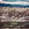 Contemplation In the Wind - EP album lyrics, reviews, download