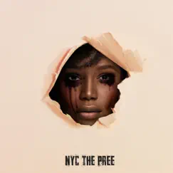 Drunk In Love - Single by NYC the Pree album reviews, ratings, credits
