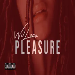 Pleasure - Single by WilLocz album reviews, ratings, credits