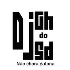 Não Chora Gatona - Single by DJ Gh Do Sd & MC Bielzin album reviews, ratings, credits