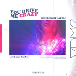 You Drive Me Crazy - Single by Federico Di Napoli album reviews, ratings, credits