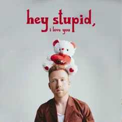 Hey Stupid, I Love You - Single by JP Saxe album reviews, ratings, credits