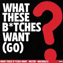 What These Bitches Want ? (Go) - Single by Mister album reviews, ratings, credits