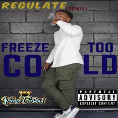 Regulate (Remix) - Single by FreezeTooCold album reviews, ratings, credits