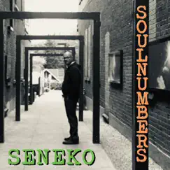 Soul Numbers - EP by Seneko album reviews, ratings, credits