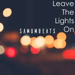 Leave the Lights On - Single by Samumbeats album reviews, ratings, credits