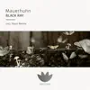 Black Ray - Single album lyrics, reviews, download