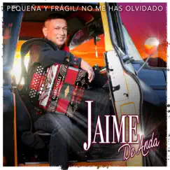 Pequeña y Frágil / No Me Has Olvidado - Single by Jaime de Anda album reviews, ratings, credits