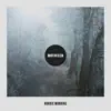 Nordic Morning - Single album lyrics, reviews, download