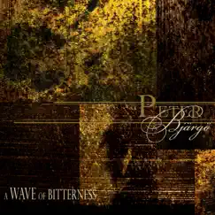 A Wave of Bitterness by Peter Bjärgö album reviews, ratings, credits