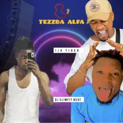 Tezzba Alfa (feat. Iju Tiger) - Single by Dj Slimfit Beat album reviews, ratings, credits