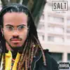Salt album lyrics, reviews, download