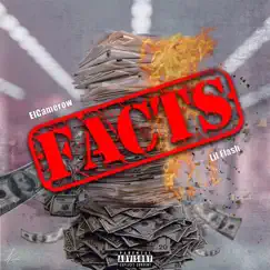 Facts Song Lyrics