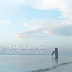 You're Not Alone (feat. Sephora) [Radio Edit] Song Lyrics