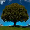 Plant Eit Tre - Single album lyrics, reviews, download