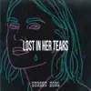 Lost In Her Tears - Single album lyrics, reviews, download
