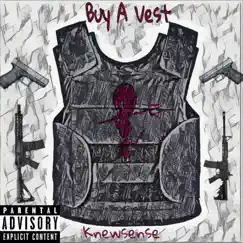 Buy a Vest - Single by Knewsense album reviews, ratings, credits