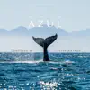 The Long Life of Azul - Single album lyrics, reviews, download