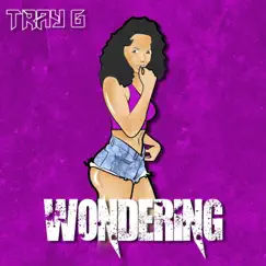 Wondering - Single by Tray G album reviews, ratings, credits