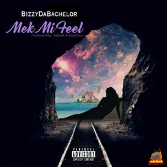 Mek Mi Feel - Single by Bizzy album reviews, ratings, credits
