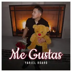 Me Gustas - Single by Yariel Roaro album reviews, ratings, credits