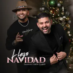 Llegó Navidad Song Lyrics