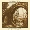 One Small Secret - Single album lyrics, reviews, download