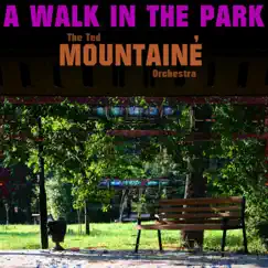 A Walk in the Park Song Lyrics