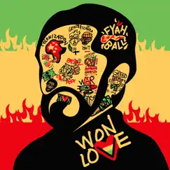 Won Love by Fyahball album reviews, ratings, credits