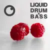 Liquid Drum & Bass Sessions 2020 Vol 16 album lyrics, reviews, download