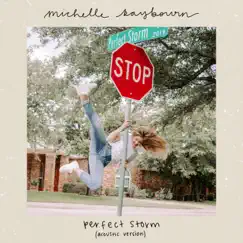 Perfect Storm (Acoustic Version) - Single by Michelle Raybourn album reviews, ratings, credits